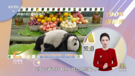 新版对人物结构进行了大胆调整，将原著中凯瑟琳哥哥的负面形象融合到养父身上，同时加重了凯瑟琳与保姆之间的爱恨情仇。